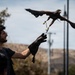The Mobile Vietnam Memorial Wall, Antelope Valley Wall 2025