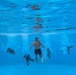U.S. Marines with 1st CEB host a modified swim qualification for FMF