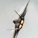 Inspiring tomorrow’s innovators at the Spirit of St. Louis Airshow