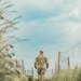 D-Day82: Staff Rides
