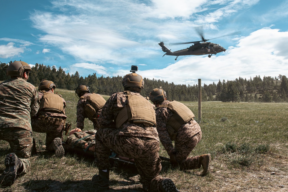 Medical Evacuation Training Exercise Regional Cooperation 26