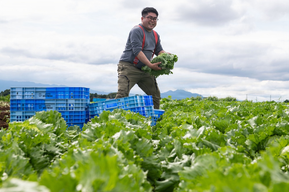 MacArthur's legacy in Japan lives on through local produce