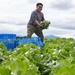 MacArthur's legacy in Japan lives on through local produce