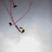 D-Day 82 Iron Mike Paratrooper Jump