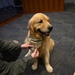 157th Air Refueling Wing Mascot Promotion Ceremony