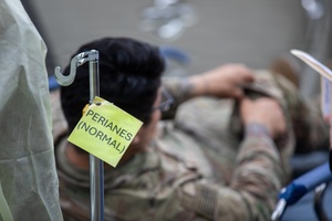 Bilateral Dive Training - News In One March 25, 2026