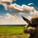 39th IBCT Soldiers Conduct Counter-UAS Familiarization Training