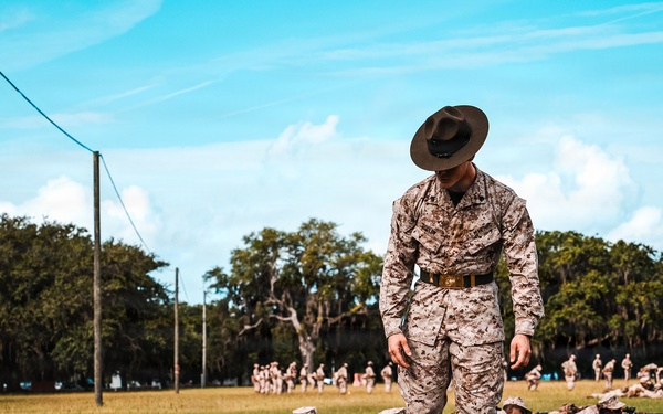 Alpha Company Grass Week