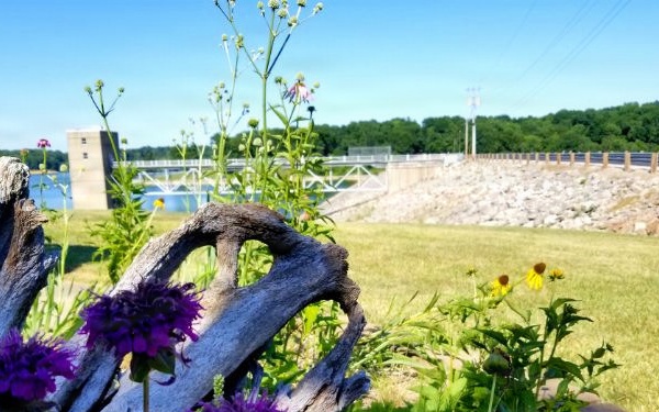 Pollinators play important role in nature and society