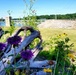 Pollinators play important role in nature and society