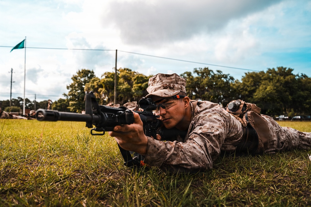 Alpha Company Grass Week