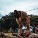 Alpha Company Grass Week