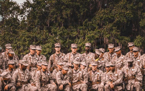 Alpha Company Grass Week