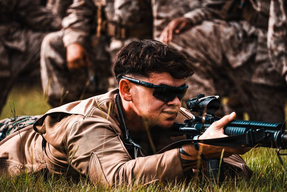 Alpha Company Grass Week