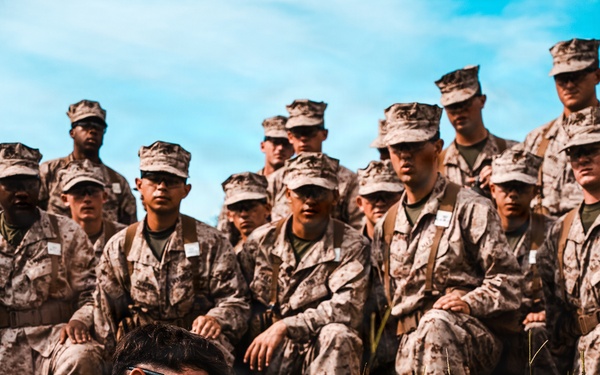 Alpha Company Grass Week