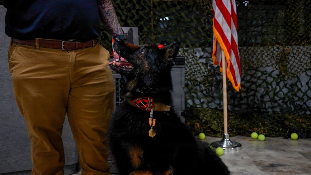 MWD Retirement