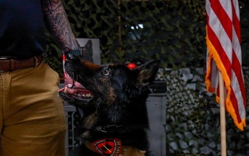 MWD Retirement