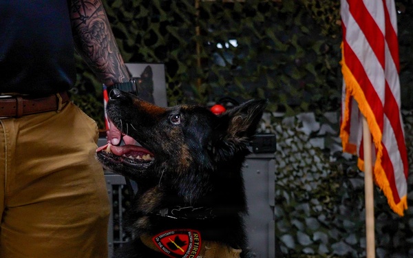 MWD Retirement