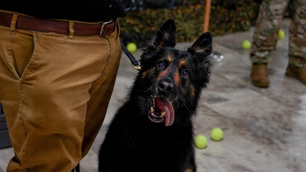 MWD Retirement
