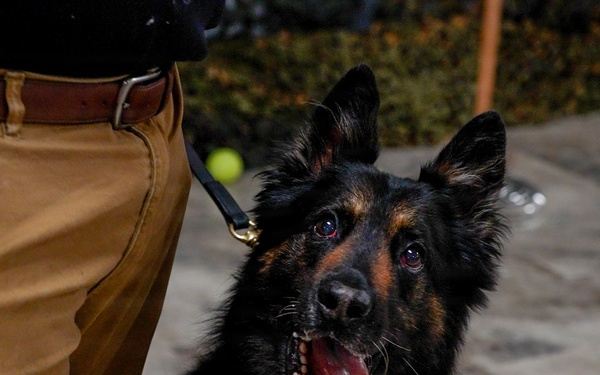 MWD Retirement