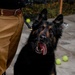 MWD Retirement