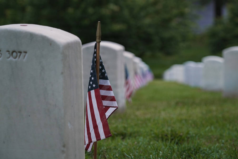 Flowers of Remembrance