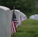Flowers of Remembrance