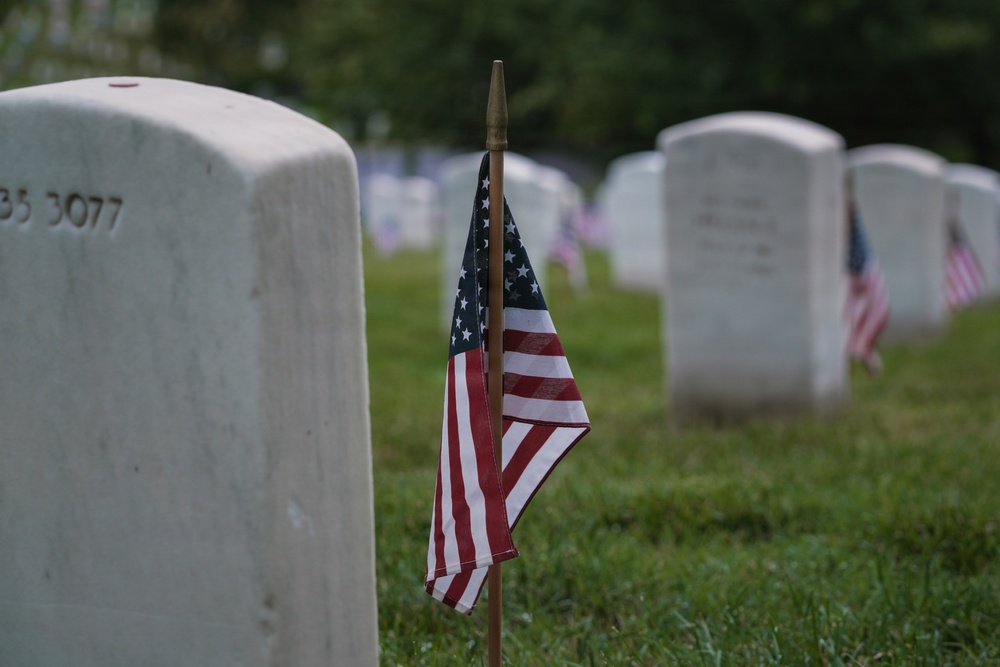 Flowers of Remembrance