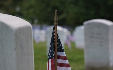 Flowers of Remembrance