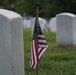 Flowers of Remembrance