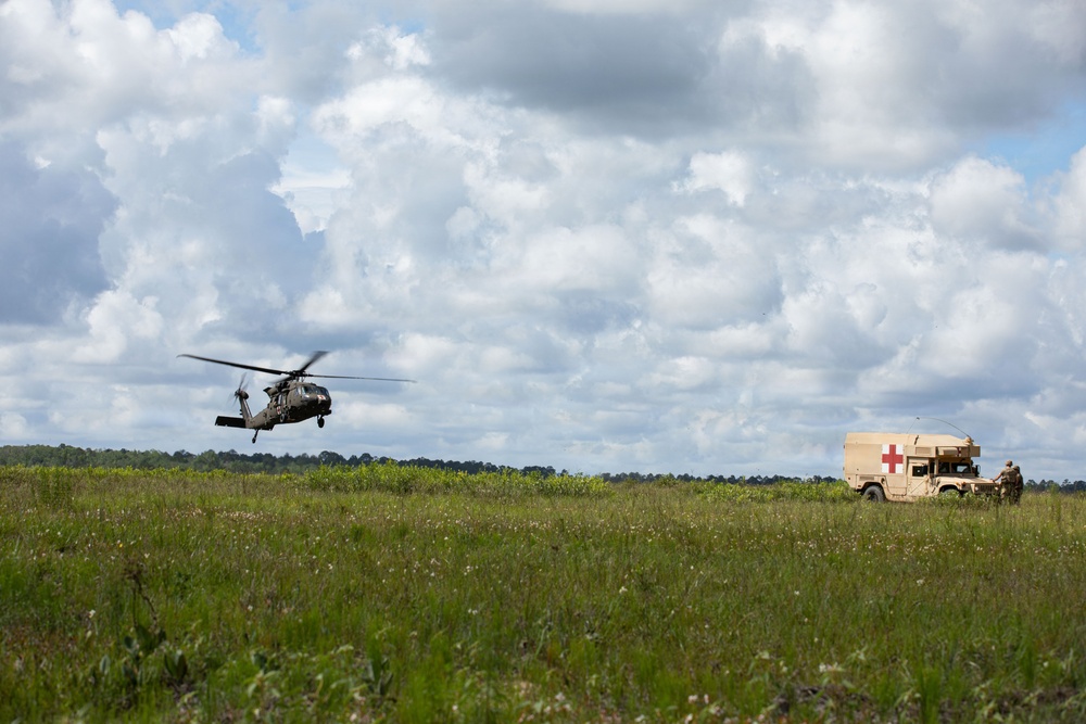 Landing Zone