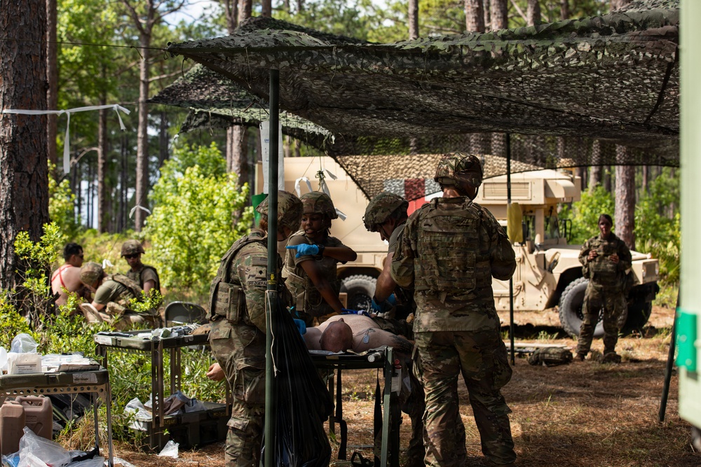 Evaluating the Patient
