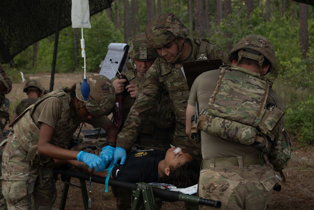 Collecting Blood Sample