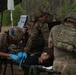 Collecting Blood Sample