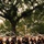 Funeral of Brig. Gen. Hagen at Arlington National Cemetery Funeral of Brig. Gen. Hagen at Arlington National Cemetery