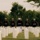 Funeral of Brig. Gen. Hagen at Arlington National Cemetery Funeral of Brig. Gen. Hagen at Arlington National Cemetery