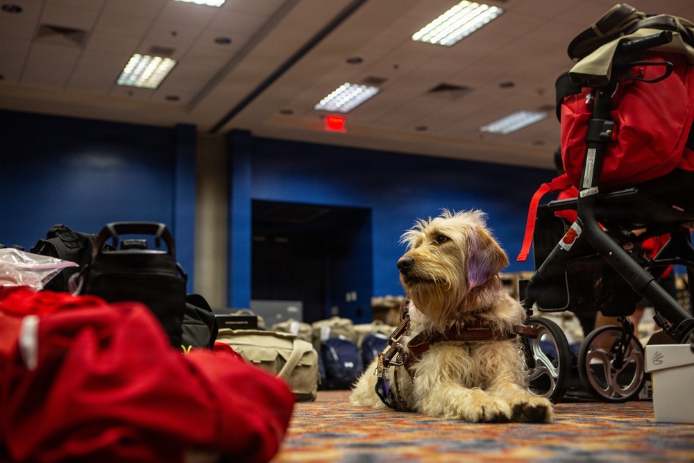 2026 Warrior Games
