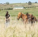 Marine Corps Mounted Color Guard participates in Elizabeth Stampede 2026