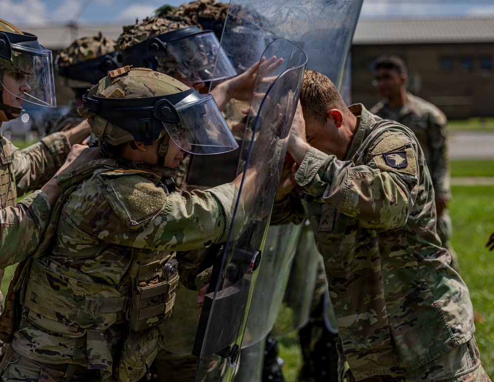 3BCT Civil Disturbance Training Day 2