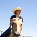 Marine Corps Mounted Color Guard participates in Elizabeth Stampede 2026
