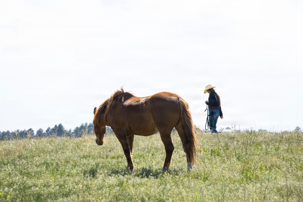 Marine Corps Mounted Color Guard participates in Elizabeth Stampede 2026