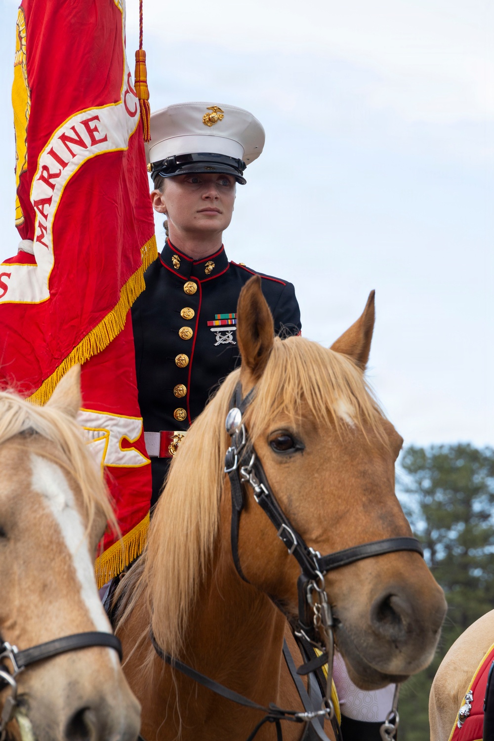 Marine Corps Mounted Color Guard participates in Elizabeth Stampede 2026
