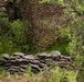 Dyess Prime BEEF Airmen test expeditionary combat skills during capture-the-flag exercise
