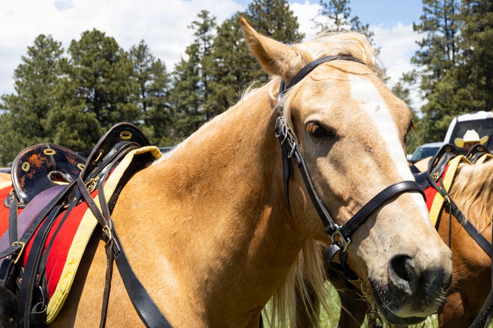 Marine Corps Mounted Color Guard participates in Elizabeth Stampede 2026