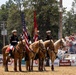 Marine Corps Mounted Color Guard participates in Elizabeth Stampede 2026