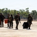 Exercise Diamond Storm 26: MRF-D aircraft arrive