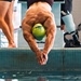 Team Army Training Event-Swimming-2026 Warrior Games