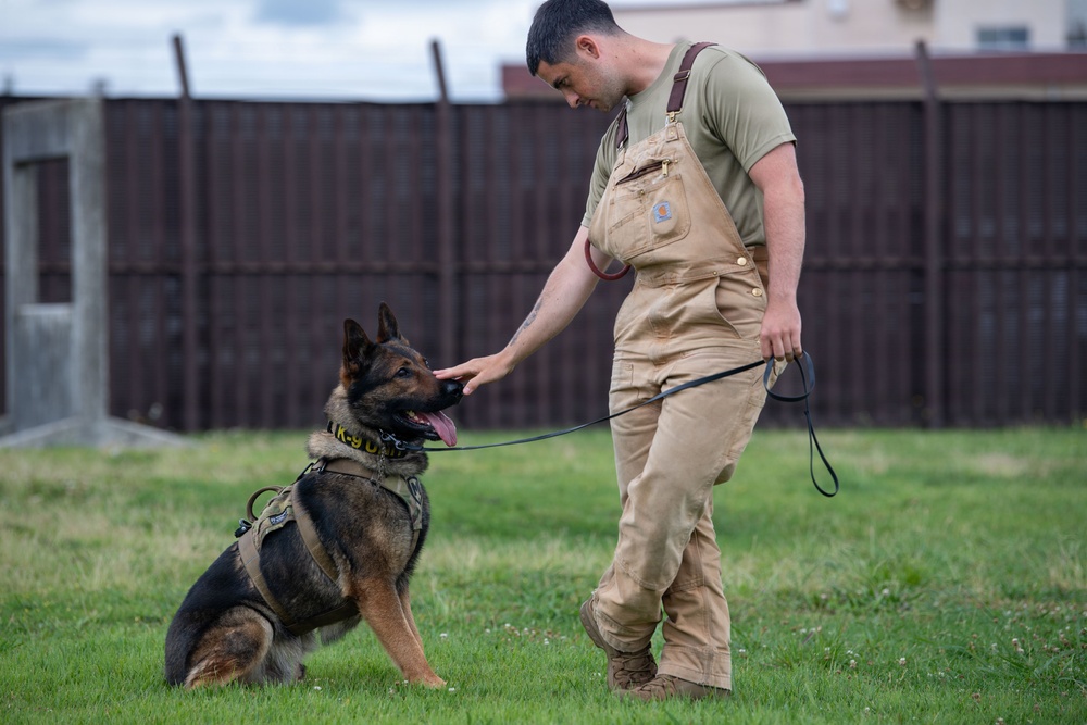 USAFA cadets attend K-9 and SIM rounds demonstration