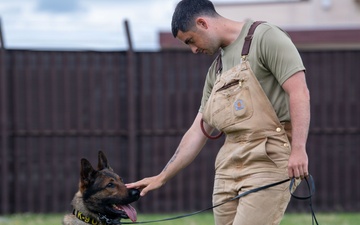 USAFA cadets attend K-9 and SIM rounds demonstration