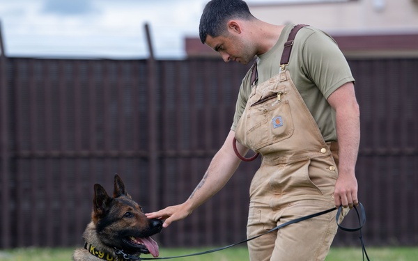 USAFA cadets attend K-9 and SIM rounds demonstration